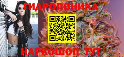 стафф Туймазы