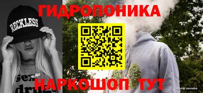PSILOCYBIN Тула