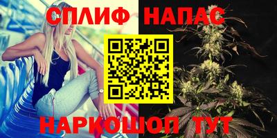 PSILOCYBIN Тула