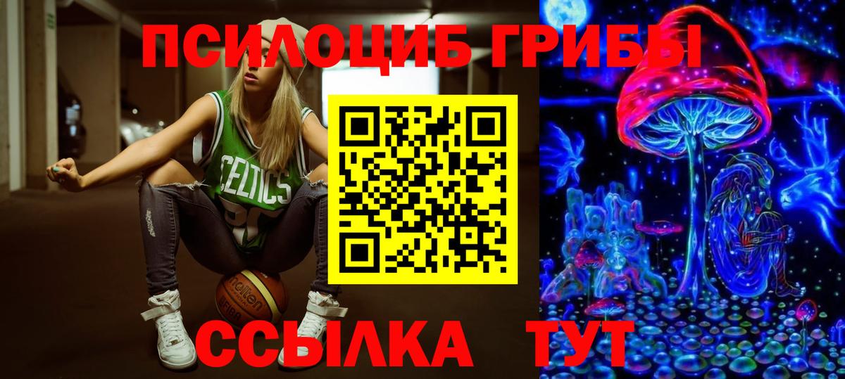 Меф МЯУ МЯУ  Alpha-PVP СК   ГАШ  Каннабис  Гатчина  Вход с VPN  Cocaine  Мефедрон кристаллы 