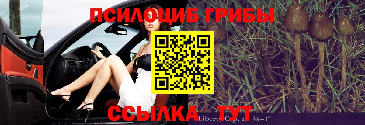 Гатчина  Галлюциногенные грибы MAGIC MUSHROOMS  Псилоцибиновые грибы Magic Shrooms  где можно купить наркотик  Вход с VPN 